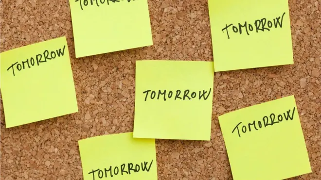 할 일을 미루는 습관에 대한 실험 결과 뇌 구조와 연관 있다는 결과가 나왔다