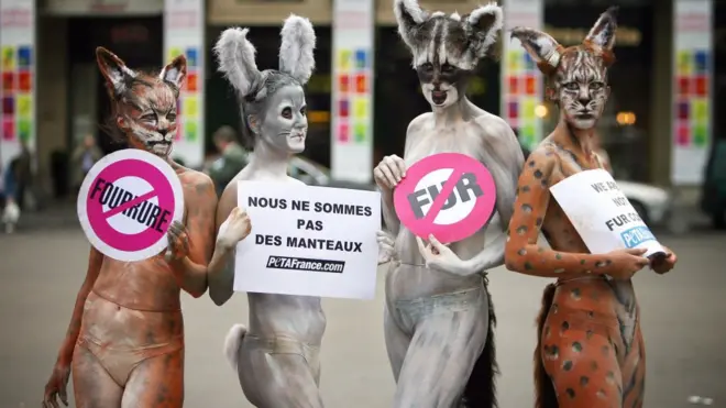 "Net mehu". "Mы ne šubы" - Protestы zaщitnikov prav životnыh v Pariže protiv ispolьzovaniя meha modnыmi domami. 2007 god