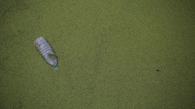 Denizde yüzen bir plastik şişe