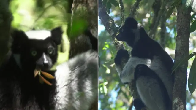 Madagascar