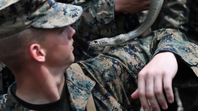 Выживание в джунглях - важная часть учений морских пехотинцев