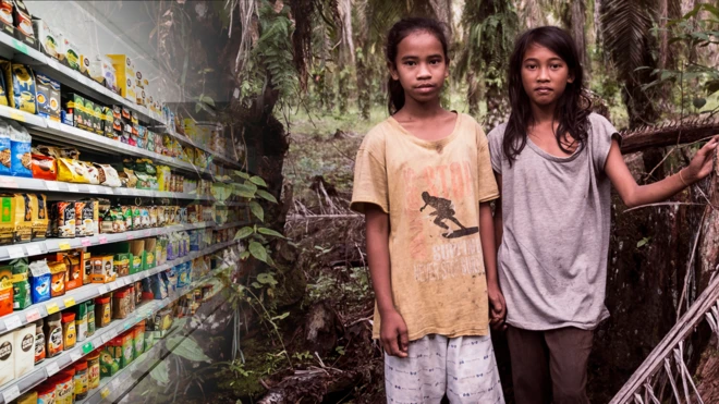 Orang Rimba (Foto: Nopri Ismi)