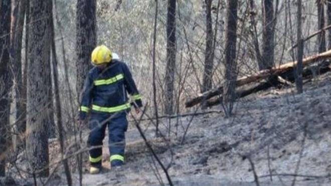 不少中國專家認為，幾次四川森林火災中，地形環境的影響重大。
