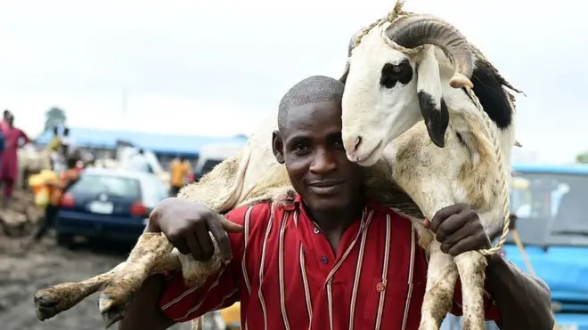 Pesin cari ram for head