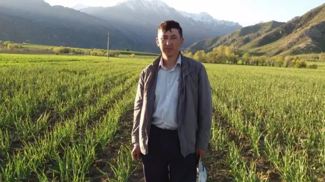 Көлдүк ишкер Элдияр Абдыкеримов органикалык сарымсак тигип, түшүмүн сатып ишкерлик кылат