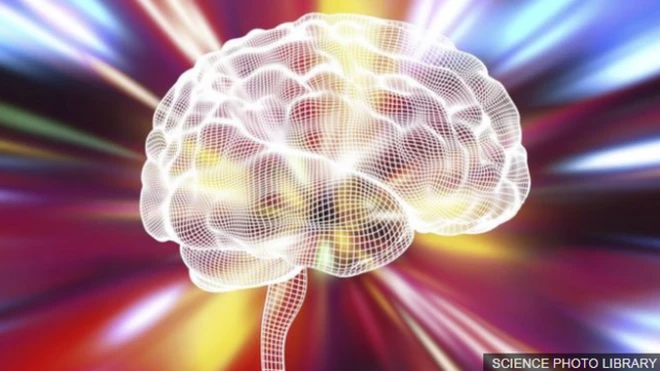 ภาพจำลองสมอง