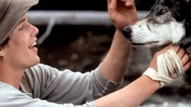 Човек и пас