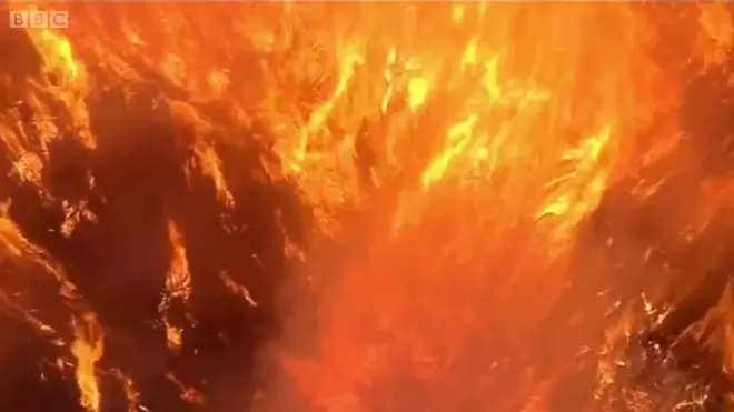 في سباق مكافحة حرائق الغابات كيف يتغلب الإطفائيون على النيران؟