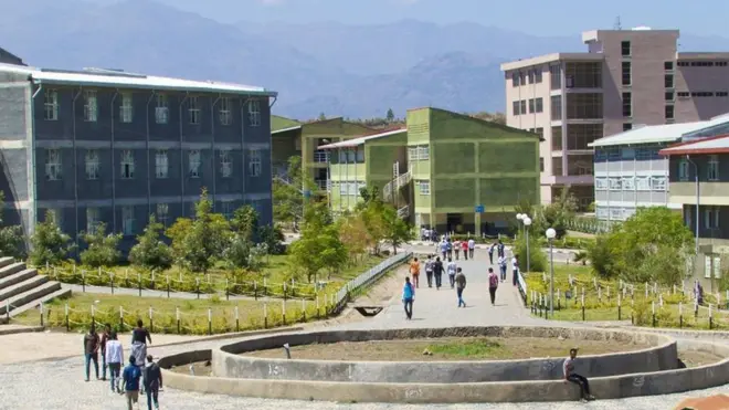 Yiinivarsitii Waldiyaa