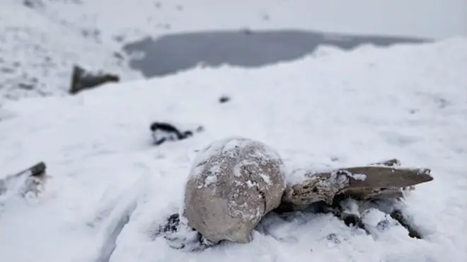 Solo cuando se derrite la nieve los esqueletos se hacen visibles.