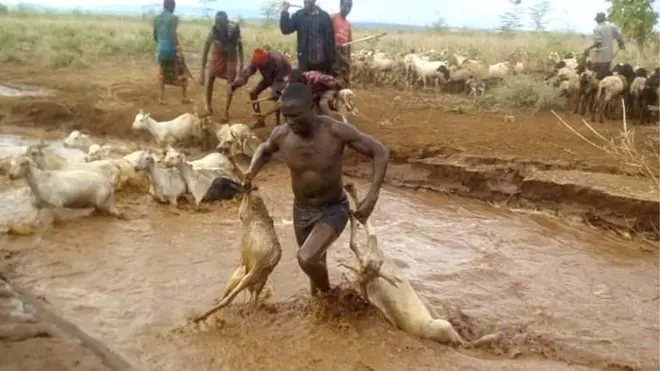 Dargaggeessa re'oota bishaan keessaa harkisaa jiru