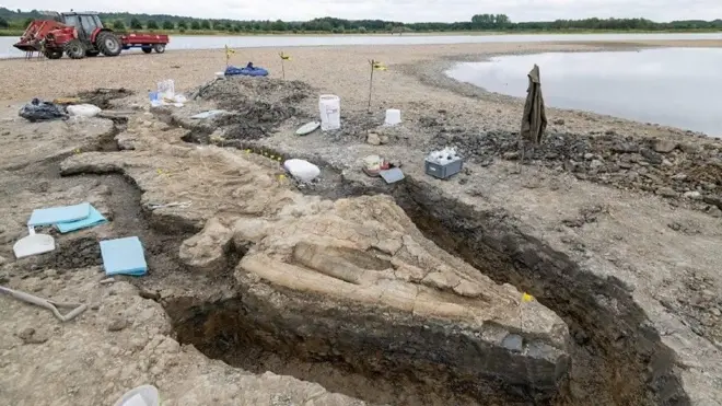 Temnodontosaurus trigonodon