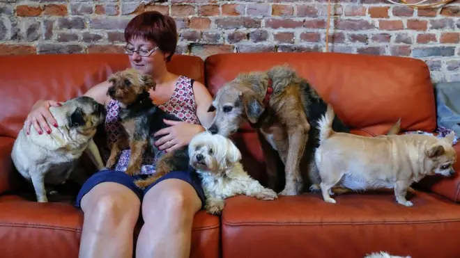 Valeri Liks vodi starački dom za životinje