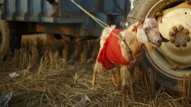 ඉන්දියාවේ බිලි පූජා