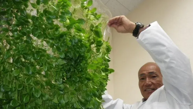 Saaynisyahan Yuichi Mori