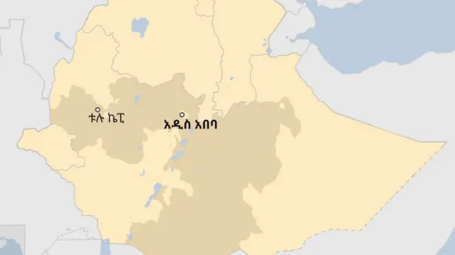 ካርታ