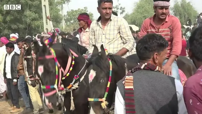 గుర్రపు పందేలు