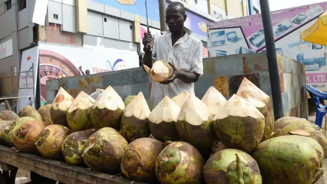 Coconut seller