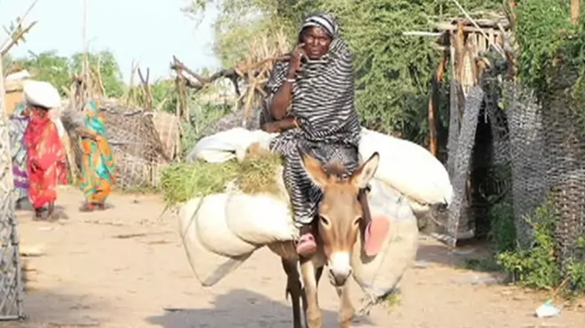 السودان : ماذا حدث في معسكر "كلمة" في دارفور؟