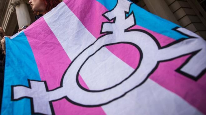 Transgender flag is seen at a rally
