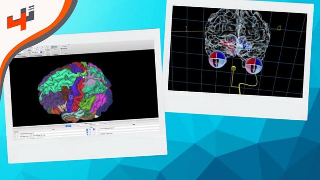 باحثون من جامعة نيويورك أبوظبي يطورون رسوماً تفاعلية تعتمد على تقنية ثلاثية الأبعاد لتمكين الطلاب من التعرف على بنية ووظيفة الأنظمة الإدراكية في الدماغ البشري.
