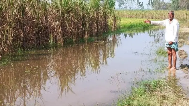 उत्तर प्रदेश