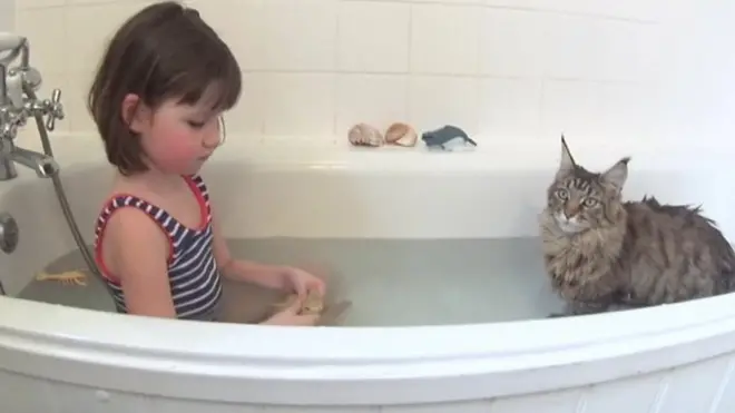 猫と出会い……重い自閉症と言われた少女に変化が