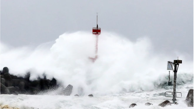 제9호 태풍 '마이삭(MAYSAK)'이 북상 중인 2일 오전 제주 서귀포시 보목동 보목포구 앞바다에 거센 파도가 몰아치고 있다