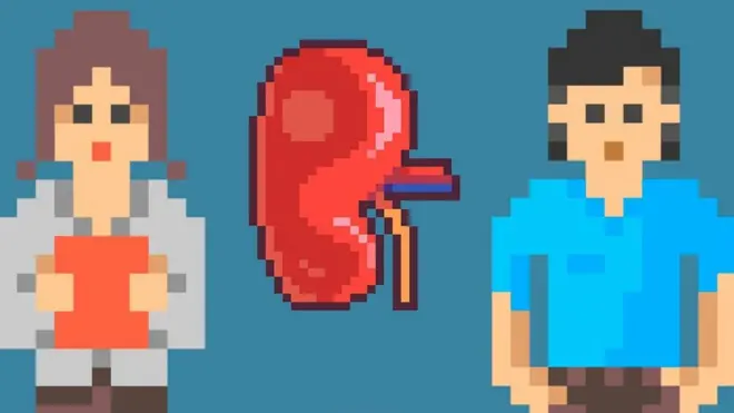 transplant, kidney donors, women, अंगदान, महिलाएं, अंग प्रत्यारोपण