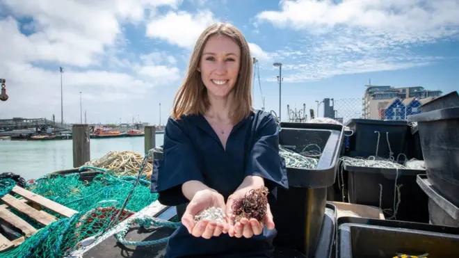 Біопластик Люсі