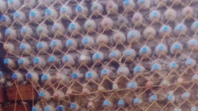 Huko kaskazini mwa Tanzania, kikundi cha wanawake wanaojiita Kazi na Bobo wamebuni njia mbadala nayo ni yakutumia chupa za plastiki za maji kwa kujengea nyumba