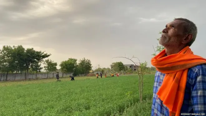 शेतकरी, प्रातिनिधिक फोटो