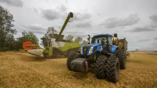 حاصد الحبوب يجمع القمح في الحقل القريب من قرية زجوريفكا في منطقة كييف