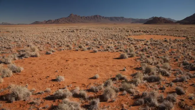 Fairy circle in Namib desert