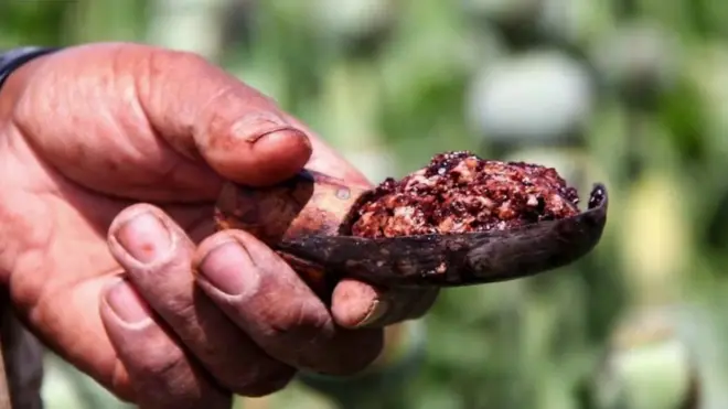 అఫ్గానిస్తాన్ ఓపియం