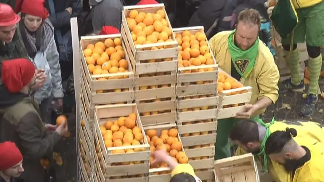 مهرجان البرتقال