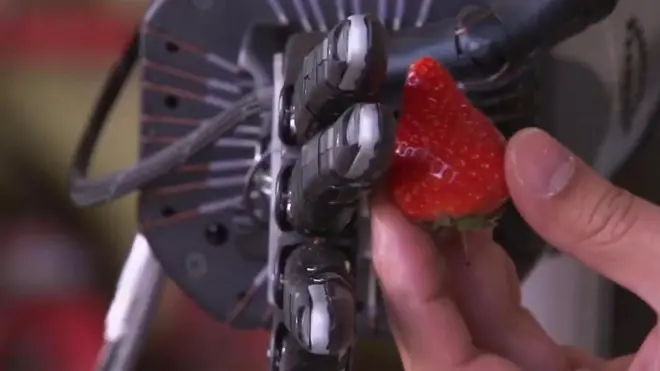 เกษตรกรรมไร้เกษตรกร