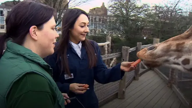 Марія Коренюк