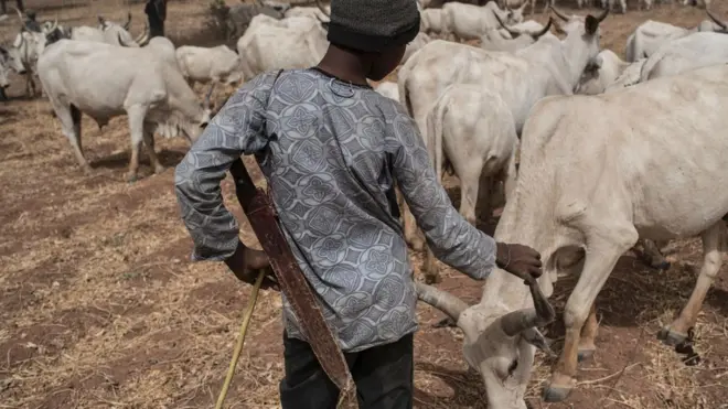 Onweghị onye kweta na ihe ga-egbochi nsogbu gbasara ịchị ehi