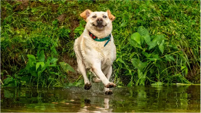 「媽媽，快看，我在水上走！」