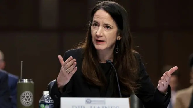 एवरल हैंज़