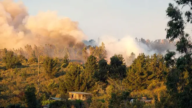 В районе Вальпараисо горит около 50 гектар земли