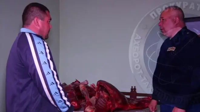 Кўрсатувдае парча