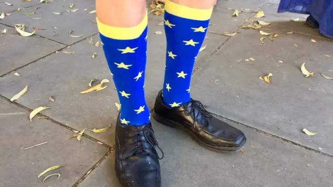 На пикете против "брексита" у парламента Британии