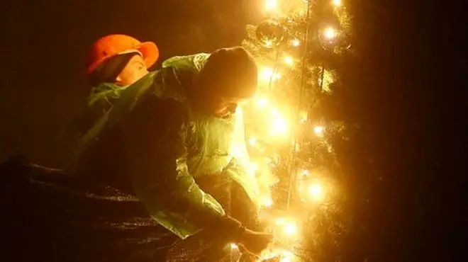 Невзирая на ракетные удары, на Софийской площади в Киеве ставят праздничную елку