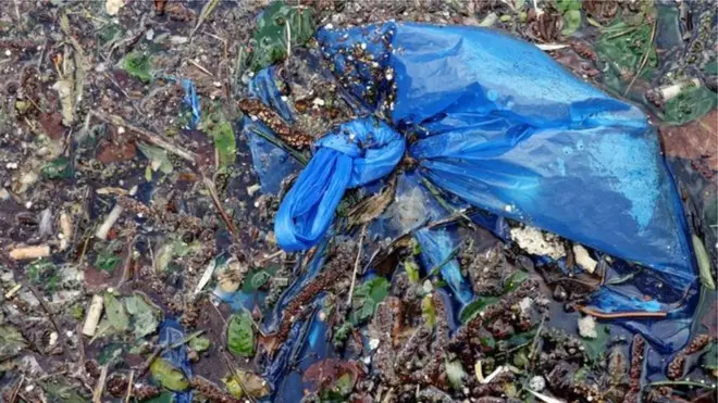 Plastična kesa na zemlji