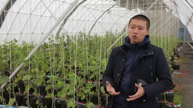 Тилек Токтогазиев