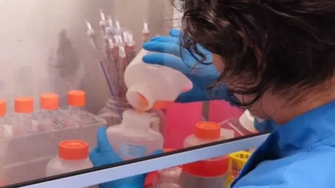 कोरोना वायरस के टीके पर जनवरी से ही शोध चल रहा है