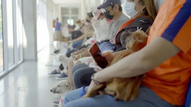 엘살바도르의 동물병원