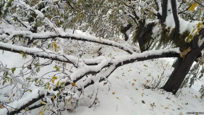 कश्मीर में बर्फ़बारी